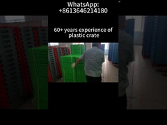 Stackable Collapsible Plastic Crate for Supermarket Farm Foldable 600*400*220mm