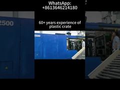 Inside a 60-Year Plastic Crate Factory Custom OEM & ODM Solutions