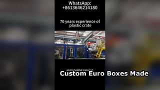 Custom Euro Box & VDA Container Production | OEM Plastic Logistics Containers Factory