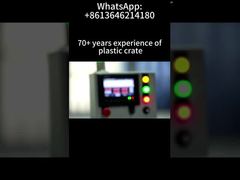 Custom Plastic Pallet Production | Warehouse Storage & Export Logistics Pallet Solution Supplier