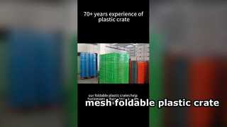Mesh Foldable Plastic Crate Packaging for USA Customer Space-Saving Reusable Logistics Solution
