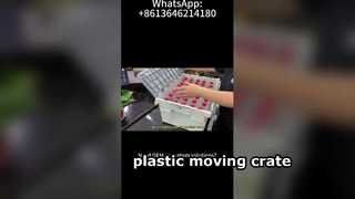 600×400mm Plastic Moving Crate Test | How Many Water Bottles Can It Hold?