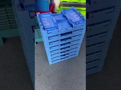 Foldable Plastic Crate for Warehouse & Distribution Applications