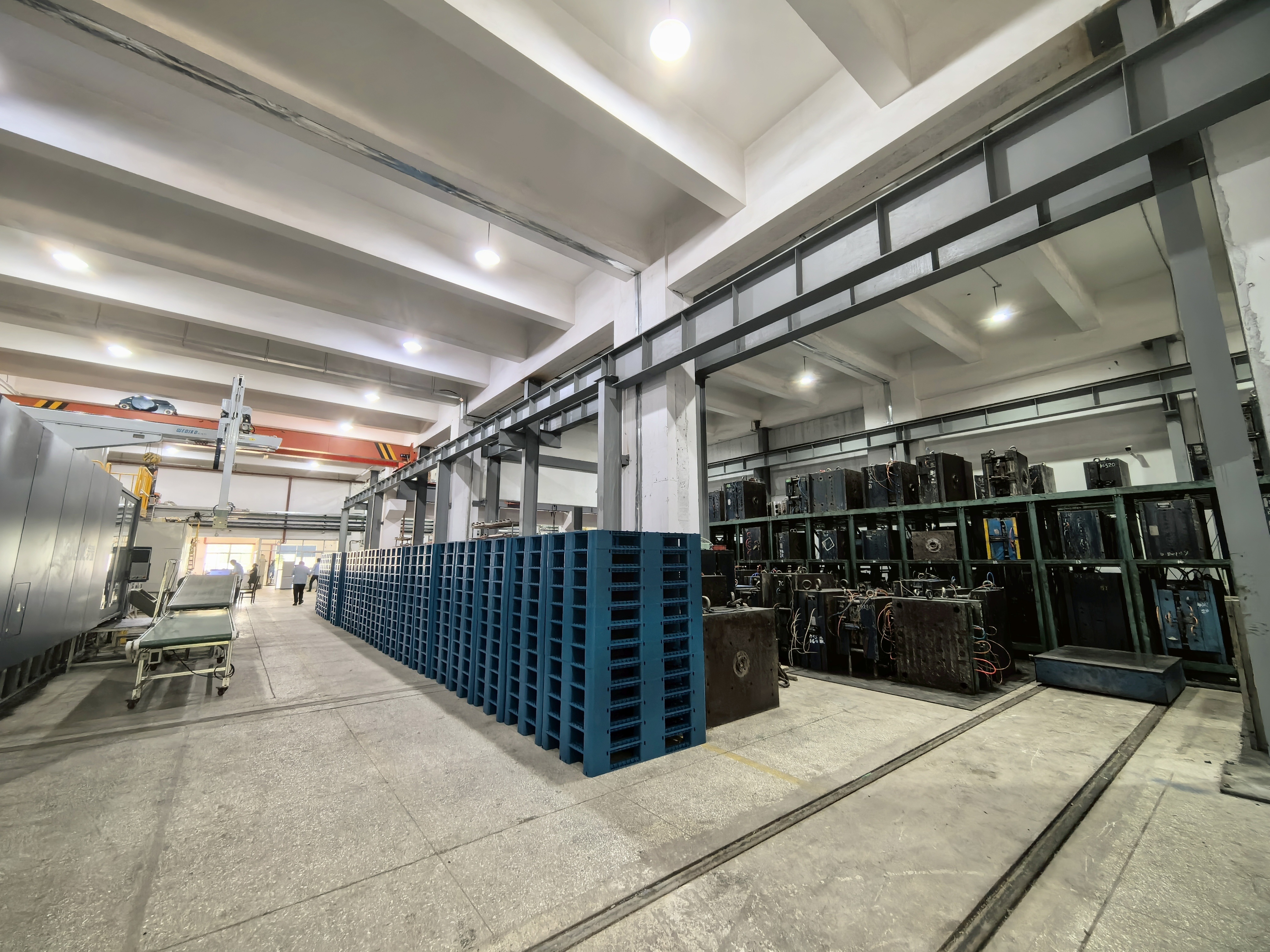 Latest company blogs about Reduce Shipping Costs by 20% with 1100×1100 Plastic Pallets – Optimize Load and Maximize Transport Efficiency