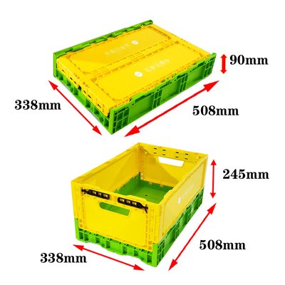 Buy Heavy Duty Colored Plastic Storage Crates PP Type Folding Size 508x338x100mm online manufacture