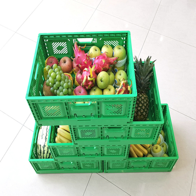 Buy Reusable Foldable Mesh Style Storage Container for Harvesting Crates Size 600*400*52mm online manufacture