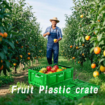 Buy Collapsible Crate Storage Mesh Plastic Containers Moving Boxes Stackale Fold online manufacture