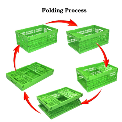 48L Collapsible Plastic Crates for Mushroom Agriculture Storage Durable and Stackable